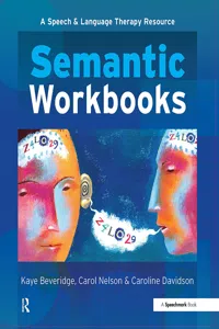 Semantic Workbooks_cover