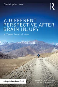 A Different Perspective After Brain Injury_cover