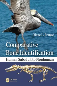 Comparative Bone Identification_cover