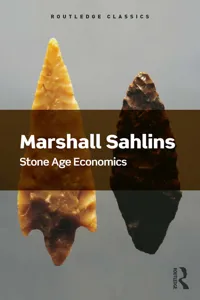 Stone Age Economics_cover
