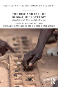 The Rise and Fall of Global Microcredit_cover