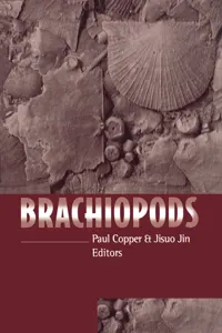 Brachiopods_cover