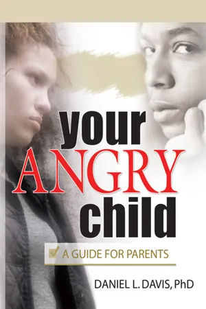 Your Angry Child