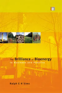 The Brilliance of Bioenergy_cover