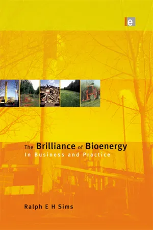 The Brilliance of Bioenergy