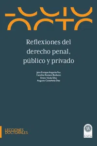 Reflexiones del derecho penal, público y privado._cover