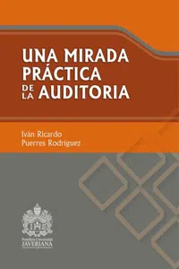 Una mirada práctica de la auditoría_cover