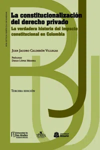 La constitucionalización del derecho privado_cover