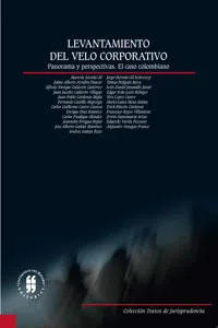 Levantamiento del velo corporativo. Panorama y perspectiva_cover