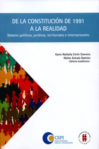 De la constitución de 1991 a la realidad_cover