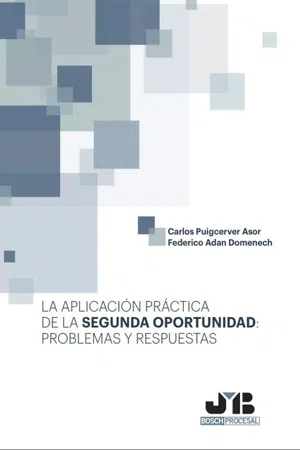 La aplicación práctica de la segunda oportunidad: problemas y respuestas