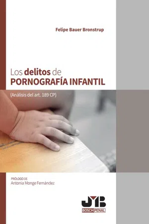 Los delitos de pornografía infantil