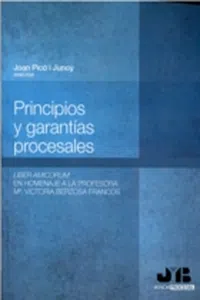 Principios y garantías procesales_cover