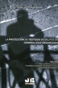 La protección de testigos en delitos de criminalidad organizada_cover