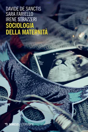 Sociologia della maternità