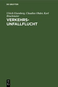 Verkehrsunfallflucht_cover