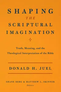 Shaping the Scriptural Imagination_cover