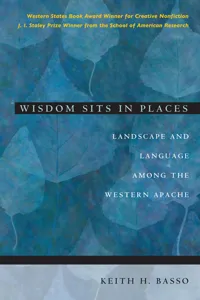 Wisdom Sits in Places_cover