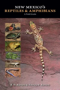 New Mexico's Reptiles and Amphibians_cover