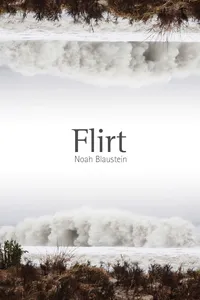 Flirt_cover