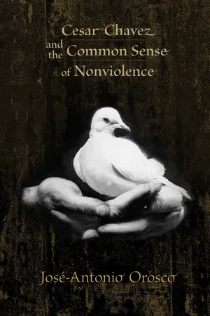 Book cover image for: Cesar Chavez and the Common Sense of Nonviolence