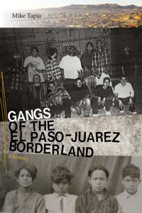 Gangs of the El Paso–Juárez Borderland_cover