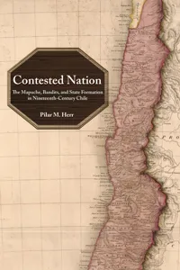 Contested Nation_cover