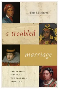 A Troubled Marriage_cover