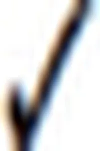 Transforming Institutions_cover