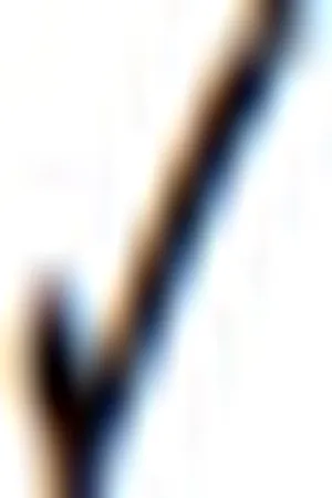 Transforming Institutions