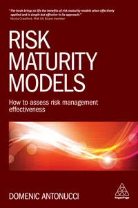 Risk Maturity Models_cover