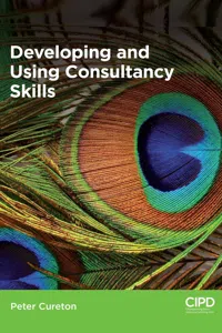 Developing and Using Consultancy Skills_cover