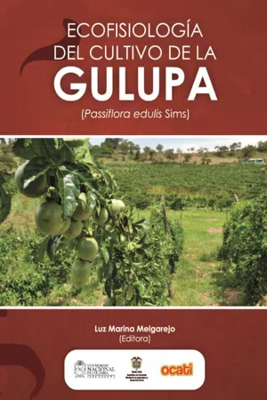 Ecofisiología del cultivo de la gulupa (Passiflora edulis Sims)