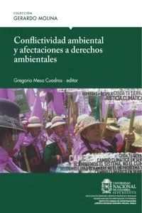 Conflictividad ambiental y afectaciones a derechos ambientales_cover