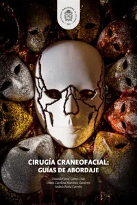 Cirugía craneofacial: Guías de abordaje_cover