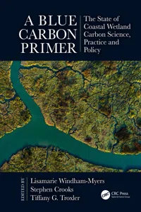 A Blue Carbon Primer_cover