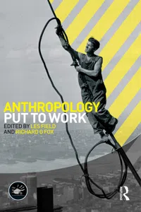 Anthropology Put to Work_cover