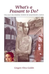 What's A Peasant To Do? Village Becoming Town In Southern China_cover
