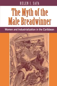 The Myth Of The Male Breadwinner_cover