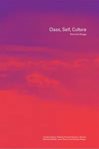 Class, Self, Culture_cover