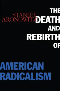 The Death and Rebirth of American Radicalism_cover