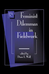 Feminist Dilemmas In Fieldwork_cover