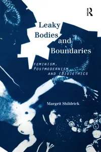 Leaky Bodies and Boundaries_cover