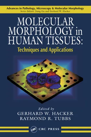 Molecular Morphology in Human Tissues