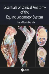 Essentials of Clinical Anatomy of the Equine Locomotor System_cover