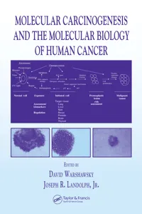 Molecular Carcinogenesis and the Molecular Biology of Human Cancer_cover