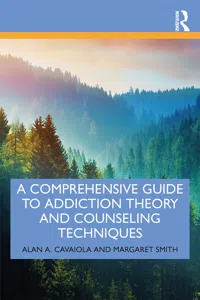 A Comprehensive Guide to Addiction Theory and Counseling Techniques_cover