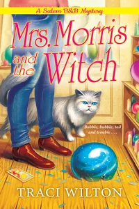 Mrs. Morris and the Witch_cover