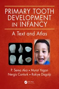 Primary Tooth Development in Infancy_cover