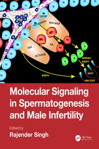 Molecular Signaling in Spermatogenesis and Male Infertility_cover